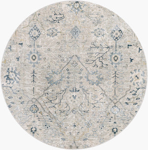 Livabliss Brunswick Traditional Fringe Area Rug Woven Polypropylene Blend for Living Room Entryway Dusty Sage, Lig 5'3" x 5'3" BWK2316-53RD