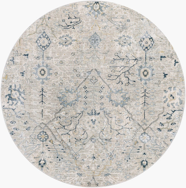 Livabliss Brunswick Traditional Fringe Area Rug Woven Polypropylene Blend for Living Room Entryway Dusty Sage, Lig 5'3" x 5'3" BWK2316-53RD