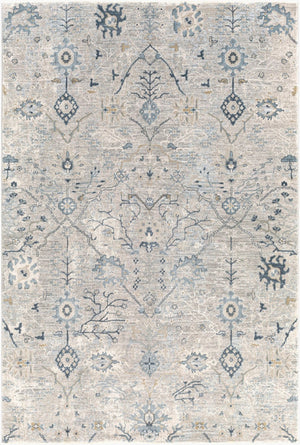 Livabliss Brunswick Traditional Fringe Area Rug Woven Polypropylene Blend for Living Room Entryway Dusty Sage, Lig 9' x 12'2" BWK2316-9122
