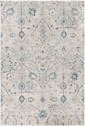 Livabliss Brunswick Traditional Fringe Area Rug Woven Polypropylene Blend for Living Room Entryway Dusty Sage, Lig 6'7" x 9'6" BWK2316-6796