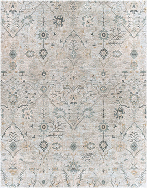 Livabliss Brunswick Traditional Fringe Area Rug Woven Polypropylene Blend for Living Room Entryway Dusty Sage, Lig 7'10" x 10'2" BWK2316-710103