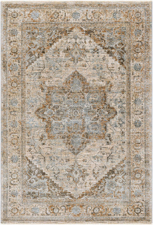 Livabliss Brunswick Traditional Medallion Area Rug with Tassel Fringe for Living and Dining Rooms Dusty Sage, Cha 2'7" x 3'11" BWK2318-274