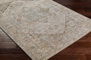 Livabliss Brunswick Traditional Medallion Area Rug with Tassel Fringe for Living and Dining Rooms Dusty Sage, Cha 2'7" x 3'11" BWK2318-274