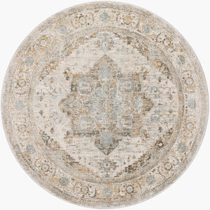 Livabliss Brunswick Traditional Medallion Area Rug with Tassel Fringe for Living and Dining Rooms Dusty Sage, Cha 6'7" x 6'7" BWK2318-67RD