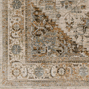 Livabliss Brunswick Traditional Medallion Area Rug with Tassel Fringe for Living and Dining Rooms Dusty Sage, Cha 2'7" x 3'11" BWK2318-274