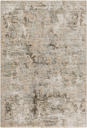 Livabliss Brunswick High Low Pile Area Rug Woven Polypropylene Blend for Large Living Rooms Dusty Sage, Cha 2' x 2'11" BWK2321-23