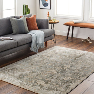 Livabliss Brunswick High Low Pile Area Rug Woven Polypropylene Blend for Large Living Rooms Dusty Sage, Cha 2' x 2'11" BWK2321-23