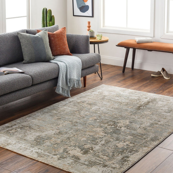 Livabliss Brunswick High Low Pile Area Rug Woven Polypropylene Blend for Large Living Rooms Dusty Sage, Cha 2' x 2'11" BWK2321-23