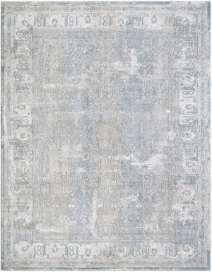 Brunswick BWK-2339 9' x 12'2" Machine Woven Rug BWK2339-9122  Cream, Light Gray, Light Brown, Charcoal, Mustard Surya