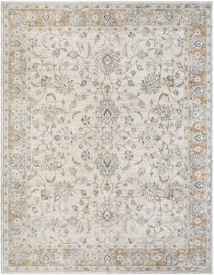 Brunswick BWK-2344 9' x 12'2" Machine Woven Rug BWK2344-9122  Light Gray, Cream, Medium Brown, Light Brown, Charcoal, Mustard Surya