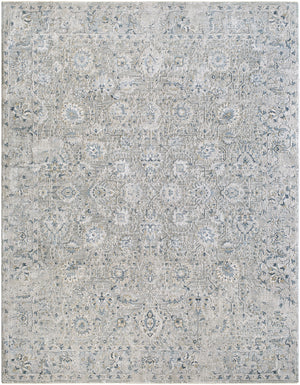 Brunswick BWK-2349 9' x 12'2" Machine Woven Rug BWK2349-9122  Light Gray, Charcoal, Cream, Dark Blue, Blue, Mustard Surya