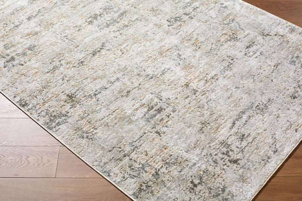 Livabliss Brunswick Large Area Rug Machine Woven Polypropylene Blend with Fringe for Living Rooms Cream, Light Gr 2'7" x 3'11" BWK2350-274