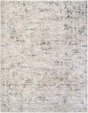 Livabliss Brunswick Large Area Rug Machine Woven Polypropylene Blend with Fringe for Living Rooms Cream, Light Gr 2'7" x 3'11" BWK2350-274