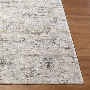 Livabliss Brunswick Large Area Rug Machine Woven Polypropylene Blend with Fringe for Living Rooms Cream, Light Gr 2'7" x 3'11" BWK2350-274
