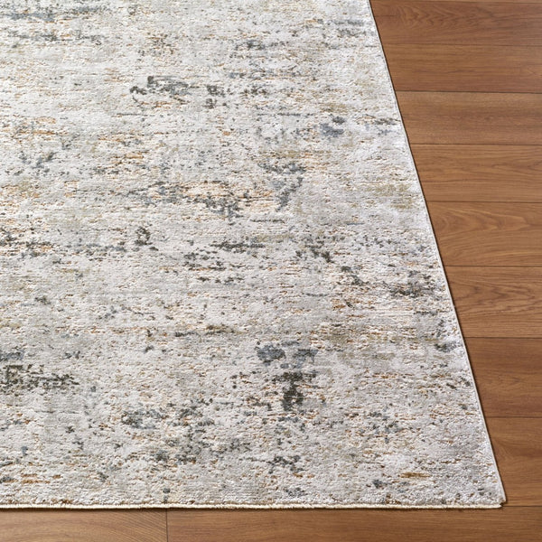 Livabliss Brunswick Large Area Rug Machine Woven Polypropylene Blend with Fringe for Living Rooms Cream, Light Gr 2'7" x 3'11" BWK2350-274