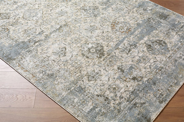 Livabliss Brunswick Fringe Area Rug Machine Woven Polypropylene Blend for Living Dining Rooms Light Gray, Cha 6'7" x 9'6" BWK2352-6796