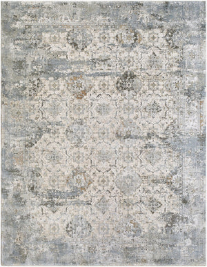 Livabliss Brunswick Fringe Area Rug Machine Woven Polypropylene Blend for Living Dining Rooms Light Gray, Cha 6'7" x 9'6" BWK2352-6796
