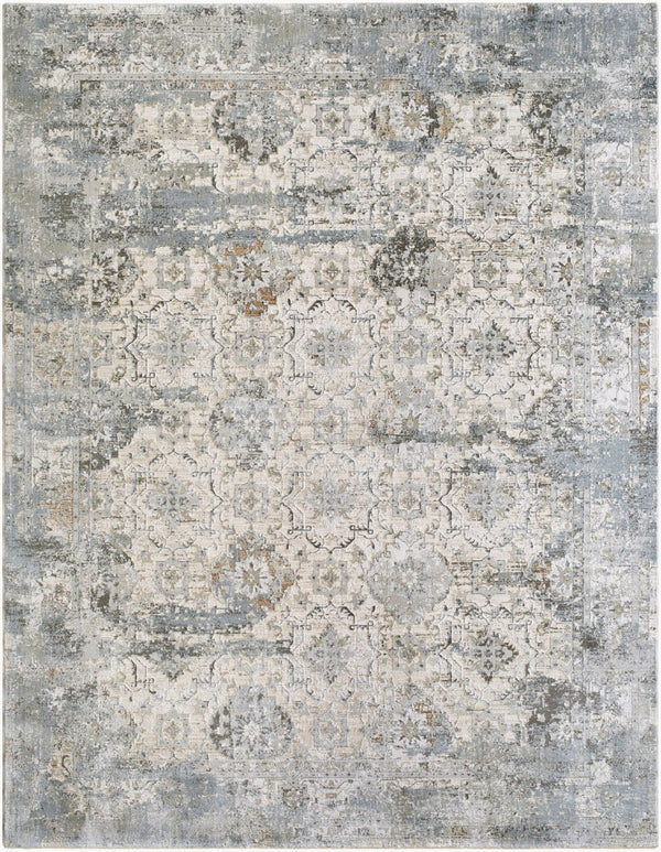Livabliss Brunswick Fringe Area Rug Machine Woven Polypropylene Blend for Living Dining Rooms Light Gray, Cha 6'7" x 9'6" BWK2352-6796