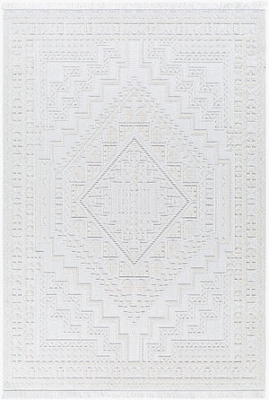 Livabliss Broadway Bohemian Global Area Rug Medium Pile Fringe Polyester Living Room Accent BWY2300-9212