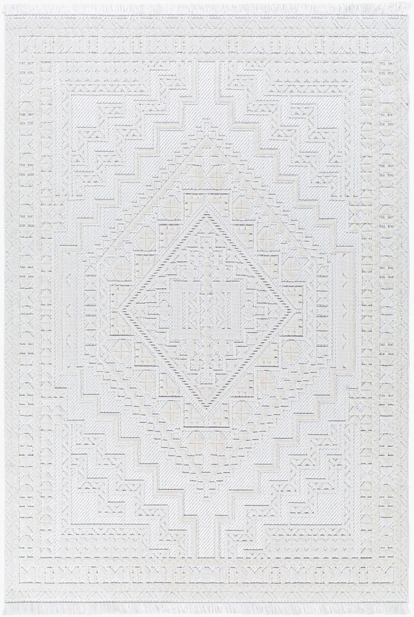 Livabliss Broadway Bohemian Global Area Rug Medium Pile Fringe Polyester Living Room Accent BWY2300-9212