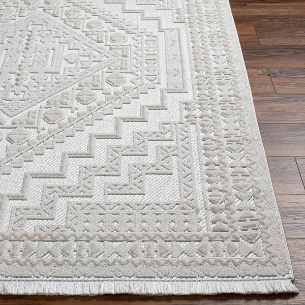 Livabliss Broadway Bohemian Global Area Rug Medium Pile Fringe Polyester Living Room Accent BWY2300-9212