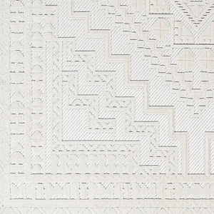 Livabliss Broadway Bohemian Global Area Rug Medium Pile Fringe Polyester Living Room Accent BWY2300-9212