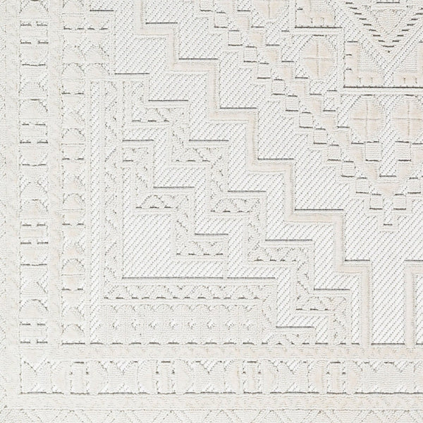 Livabliss Broadway Bohemian Global Area Rug Medium Pile Fringe Polyester Living Room Accent BWY2300-9212