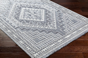 Livabliss Broadway Global Inspired Fringe Area Rug Soft Polyester Medium Pile Living Room BWY2301-9212