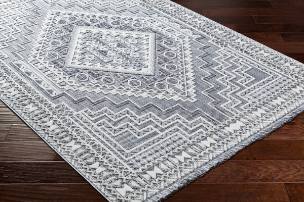 Livabliss Broadway Global Inspired Fringe Area Rug Soft Polyester Medium Pile Living Room BWY2301-9212