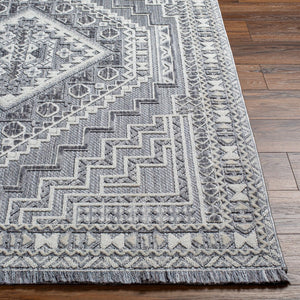 Livabliss Broadway Global Inspired Fringe Area Rug Soft Polyester Medium Pile Living Room BWY2301-9212