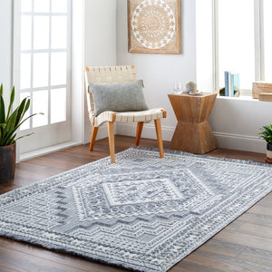 Livabliss Broadway Global Inspired Fringe Area Rug Soft Polyester Medium Pile Living Room BWY2301-9212