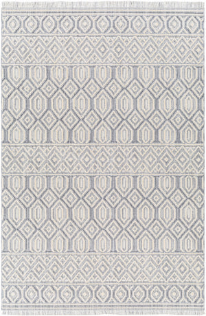 Broadway BWY-2304 9'2" x 12' Machine Woven Rug BWY2304-9212  White, Denim Surya