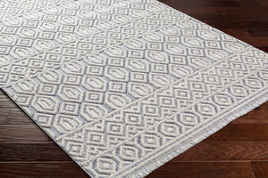 Broadway BWY-2304 9'2" x 12' Machine Woven Rug BWY2304-9212  White, Denim Surya