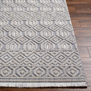 Broadway BWY-2304 9'2" x 12' Machine Woven Rug BWY2304-9212  White, Denim Surya