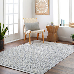 Broadway BWY-2304 9'2" x 12' Machine Woven Rug BWY2304-9212  White, Denim Surya