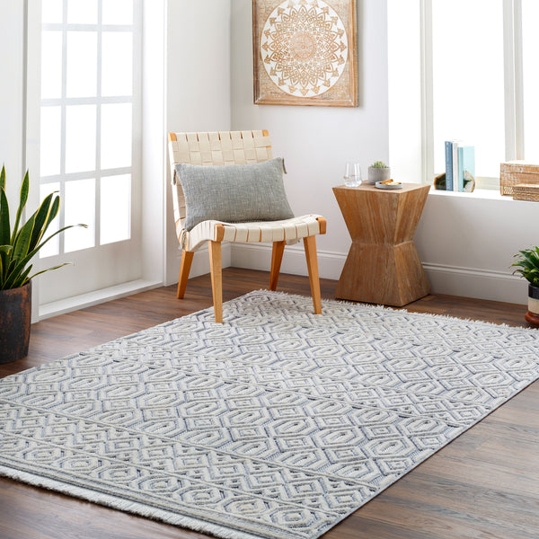 Broadway BWY-2304 9'2" x 12' Machine Woven Rug BWY2304-9212  White, Denim Surya