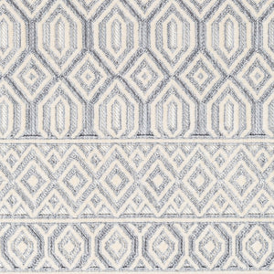Broadway BWY-2304 9'2" x 12' Machine Woven Rug BWY2304-9212  White, Denim Surya
