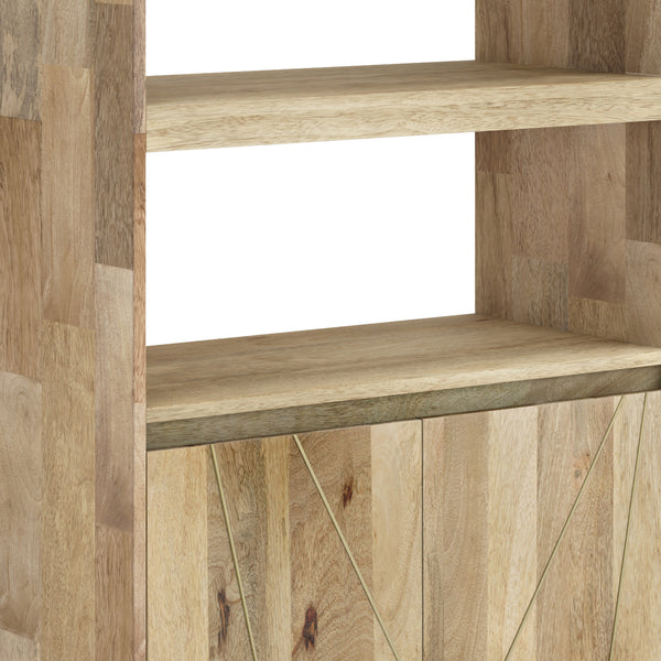 English Elm Jager Mid-Century Bookshelf with Doors - Mango Wood & Brass Inlay, Soft-Close Storage Shelves B136P158751