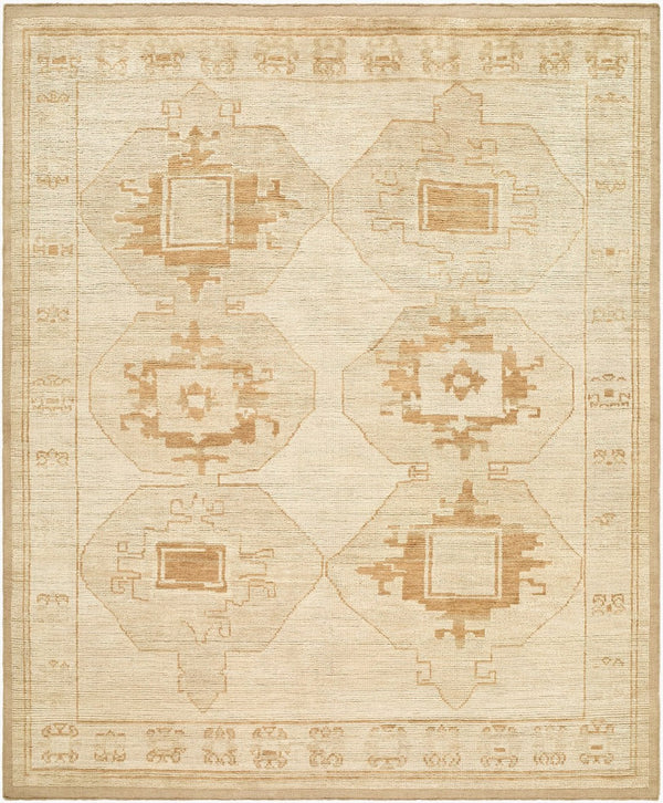 Surya Besni Hand-knotted Wool Area Rug Traditional Indian Craft for Living or Dining Room 10' x 14' Rectangle BZI2302-1014