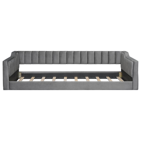 English Elm Twin XL Upholstery Daybed with Vertical Channel Tufting, Velvet Fabric, Slat Support & Side Storage Pocket for Guests Gray DL002210AAE
