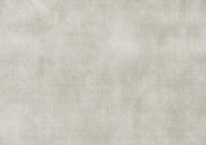 English Elm Beige Velvet Side Chairs Set of 2 — Modern Dining Accent Chairs with Black Metal Legs, Plush Upholstery B011P243653