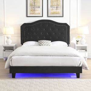 English Elm Upholstered Queen Bed Black Velvet Tufted Headboard with Led Ambient Lighting W311P237227