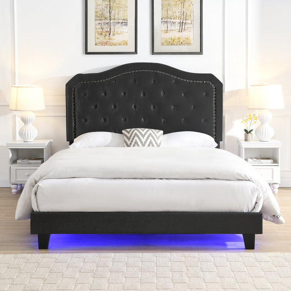 English Elm Upholstered Queen Bed Black Velvet Tufted Headboard with Led Ambient Lighting W311P237227