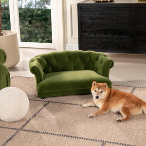 English Elm Jennifer Taylor Home - Kiki Chesterfield Dog Sofa Bed with Tufted Rolled Back, Plush Dual Foam Comfort, Durable Velvet (37") Olive Green B2719P238247