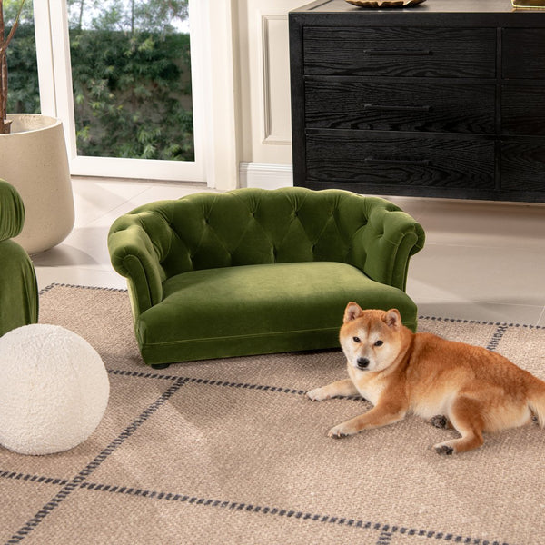 English Elm Jennifer Taylor Home - Kiki Chesterfield Dog Sofa Bed with Tufted Rolled Back, Plush Dual Foam Comfort, Durable Velvet (37") Olive Green B2719P238247