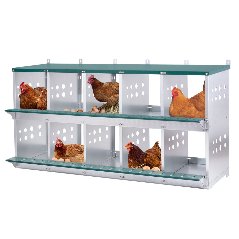 English Elm 10-bay Galvanized Steel Wall Mount Nesting Box for Chickens Ducks and Backyard Flocks W1422P355413