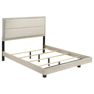English Elm Strout Queen Panel Bed Bouclé Headboard Whitewashed Veneer Floating Rustic Frame B062S01771