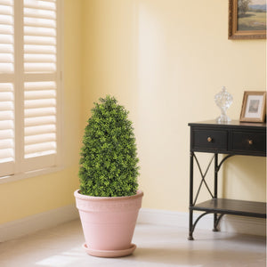 English Elm 3ft Faux Boxwood Cone Topiary Set of Two Uv Resistant Indoor Outdoor Entryway Trees W2945P323221