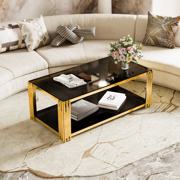 English Elm Modern Glam Rectangular Coffee Table with Mirrored Top Gold Sculptural Frame Open Shelf Black N735P380099B