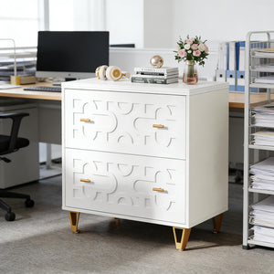 English Elm Multi-functional Nordic Filing Cabinet White Two Drawer Gold Handle Home Office Storage T3971P449298